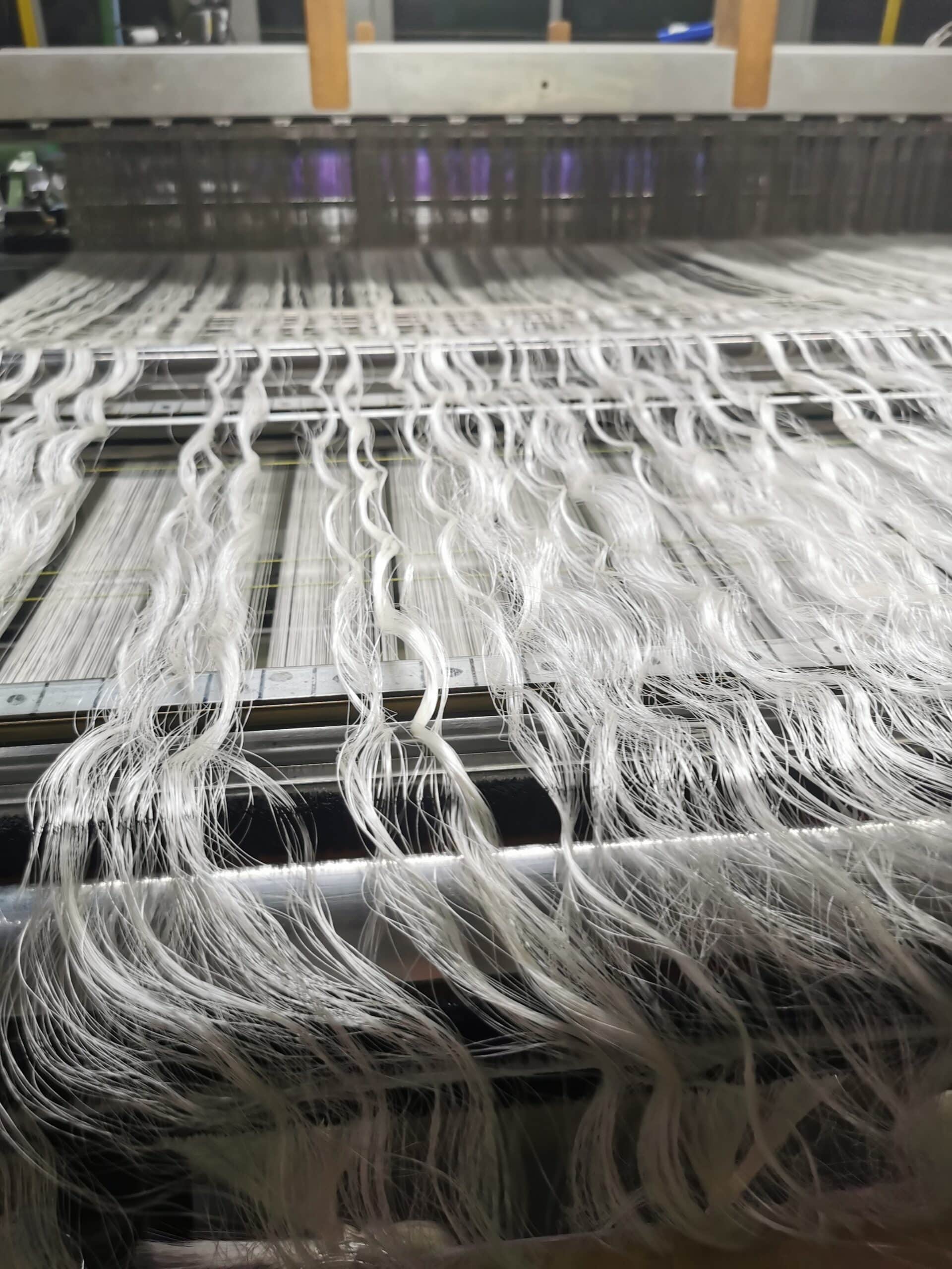 IMG_20240822_111144-scaled | Anne de Lafforest