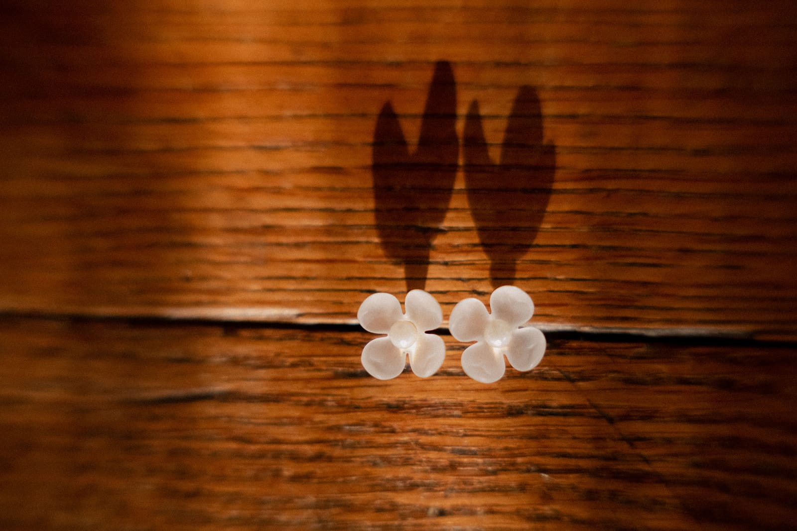 Boucles d’oreille Phebe